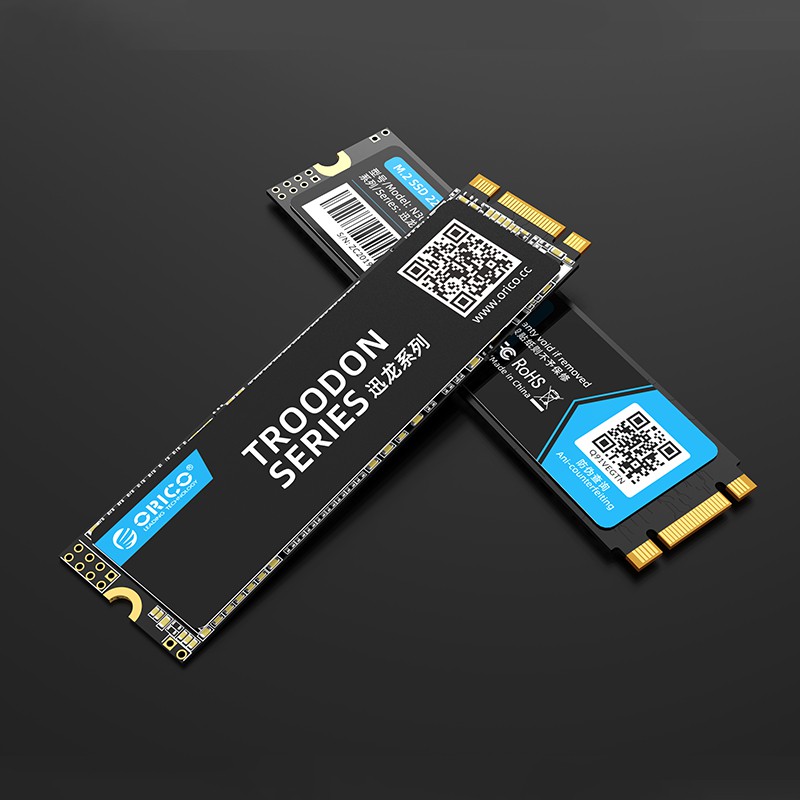 SSD M2 NGFF ORICO 256GB SATA 3.0 2280 TLC 3D NAND FLASH TROODON N300-256G - M.2 B-KEY SATA3