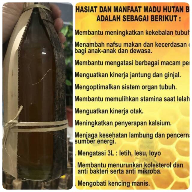 

Madu baduy