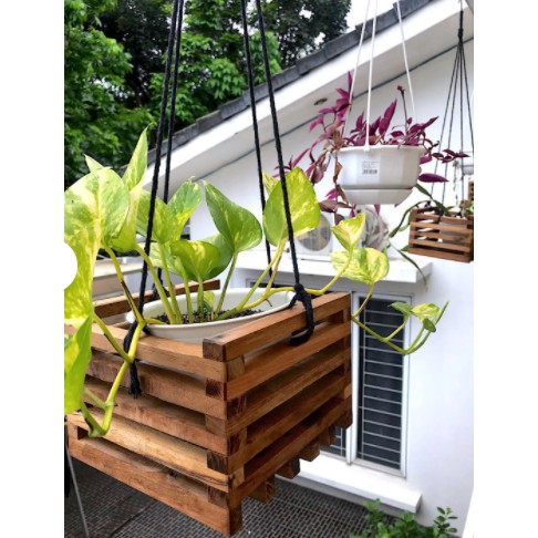 POT GANTUNG KAYU