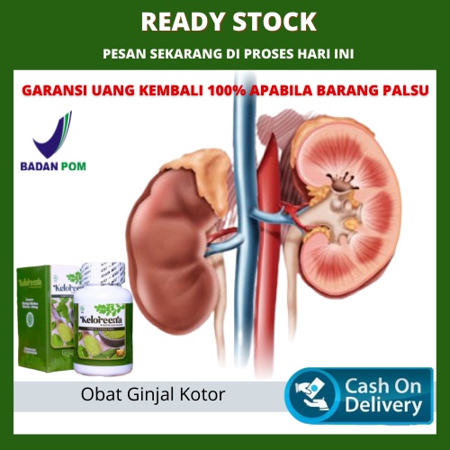 Obat Meningkatkan Fungsi Ginjal, Suplemen Ginjal, Ginjal Kotor, Gagal Ginjal, Ginjal Rusak, Obat Pem