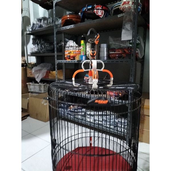 SANGKAR KANDANG MURAI RADJA COMPANY RACING 3D CARBON.