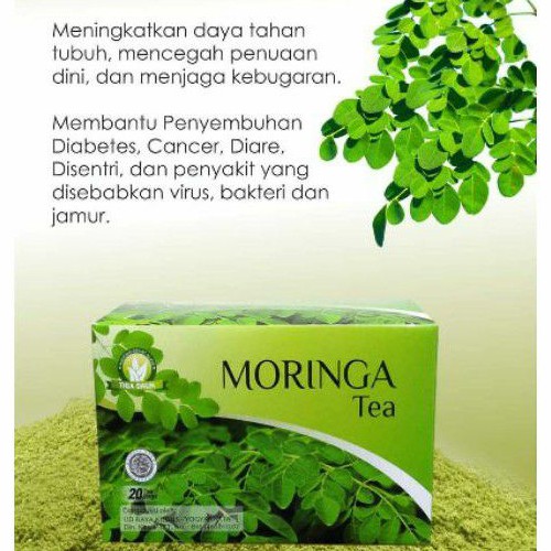 

Teh Daun Kelor Moringa Tea Pelancar ASI