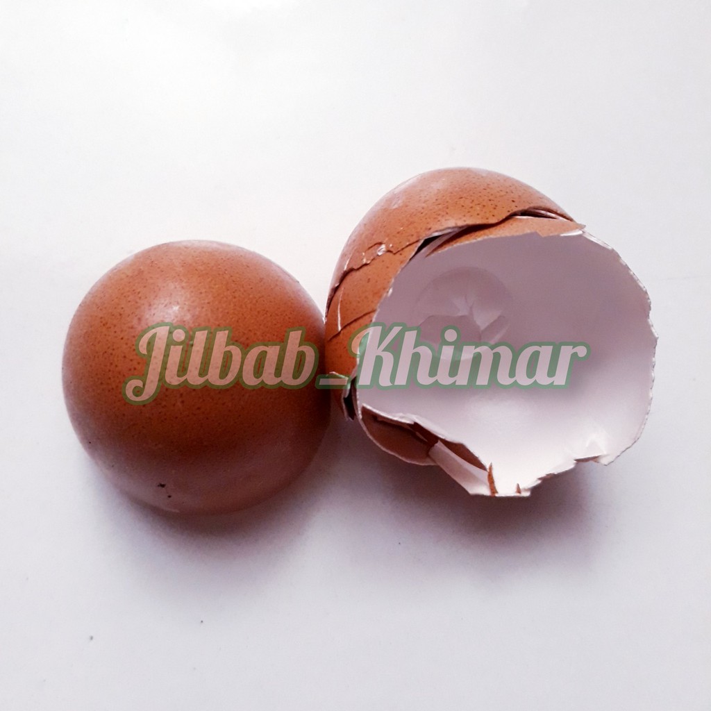 CANGKANG TELUR AYAM | KULIT TELUR AYAM | CANGKANG TELOR