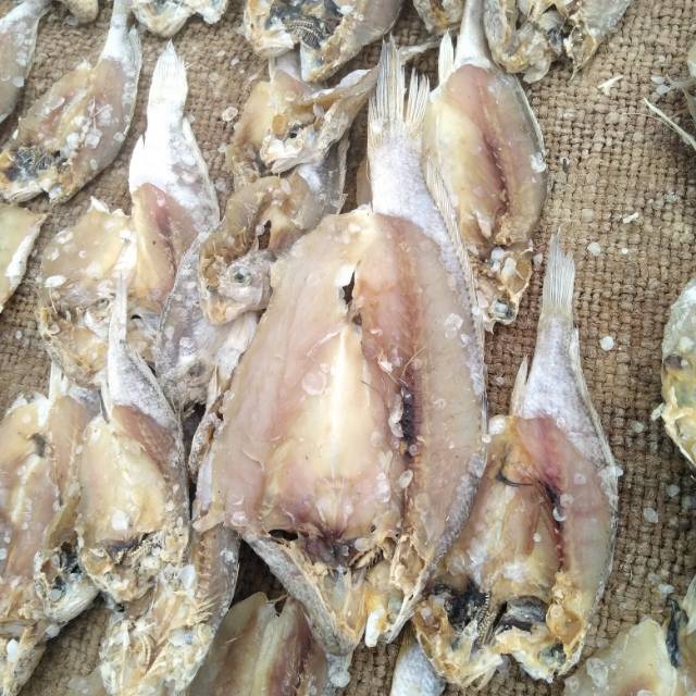 

Ikan asin gulama/500gram