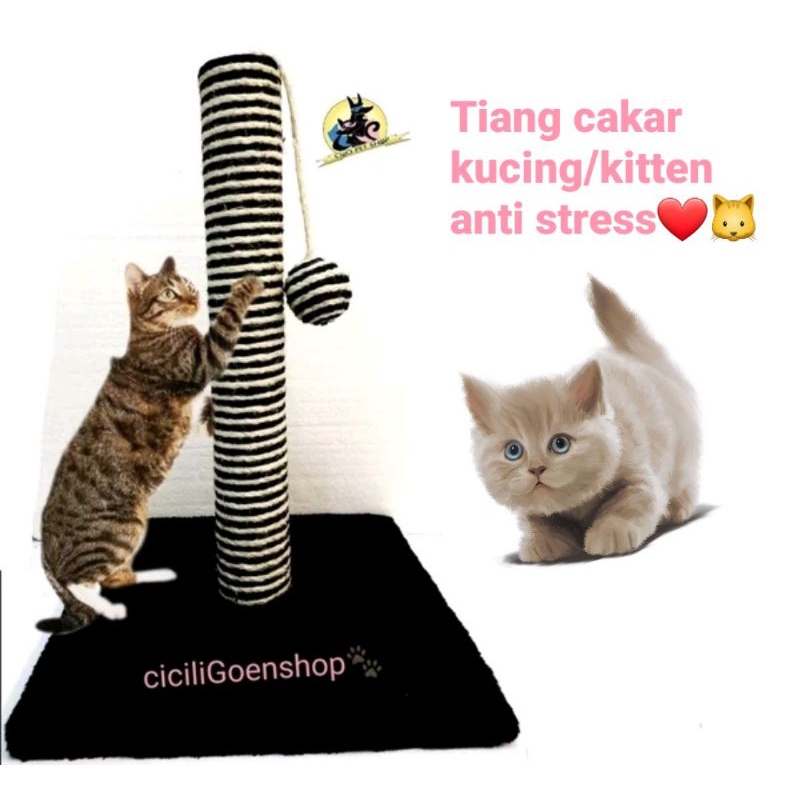 Cakaran kucing tiang garukan condo cat tree mainan kucing scratcher premium toys