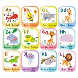 Flashcard alphabet binatang hewan / flash card / nama  