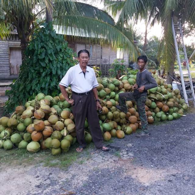 

Kelapa Muda&Kelapa Tua(Parut)