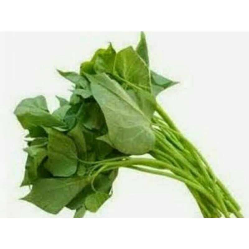

daun ubi segar tanaman sendiri daun ubi lalapan/rumbah 1 ikat