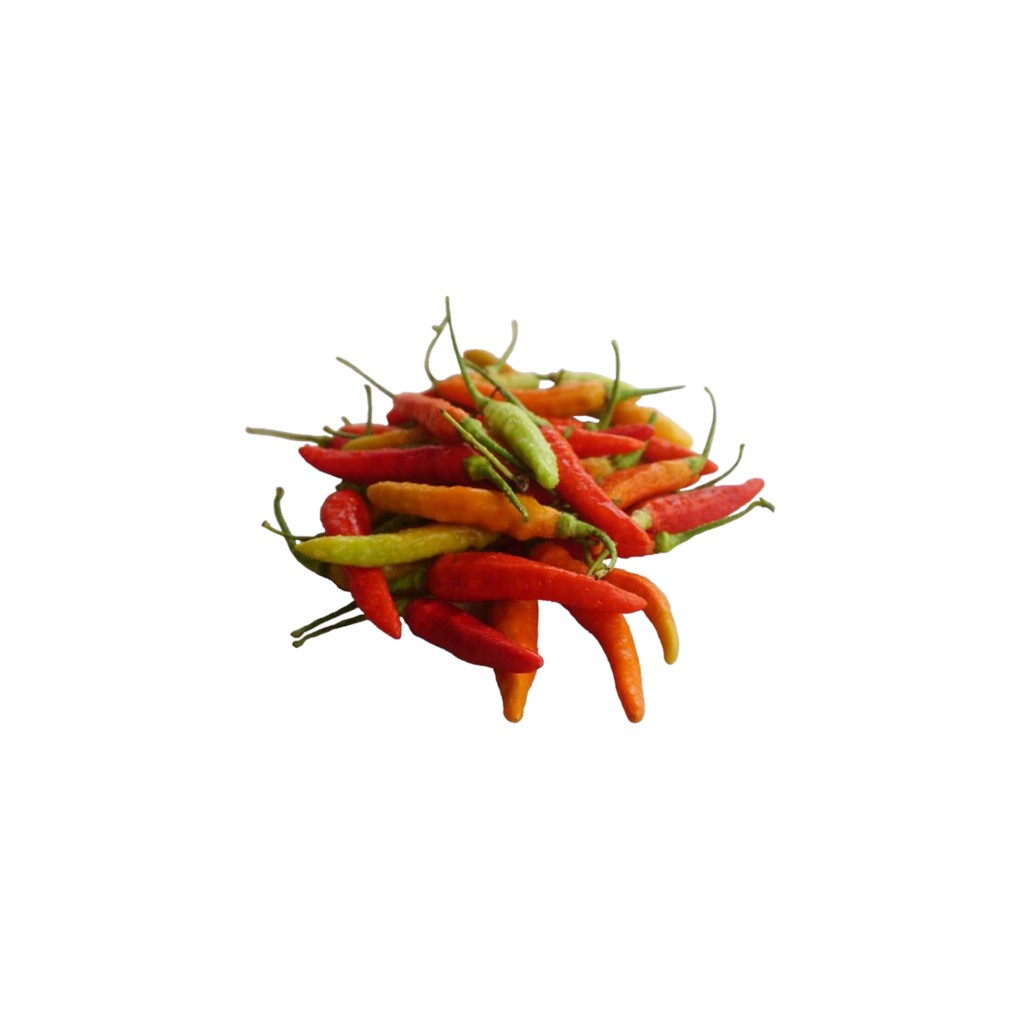 

SAYUR ORGANIK Cabe Rawit Merah