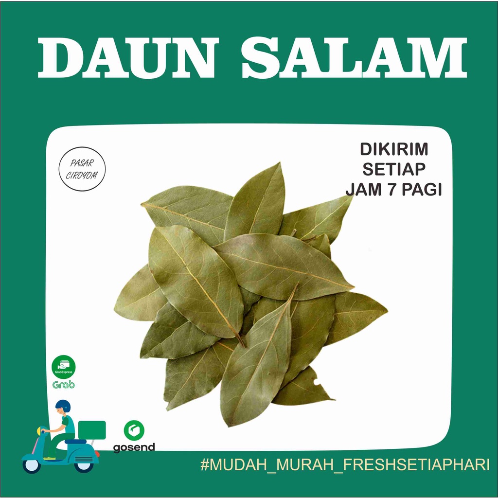 Jual DAUN SALAM FRESH MURAH BANDUNG Shopee Indonesia