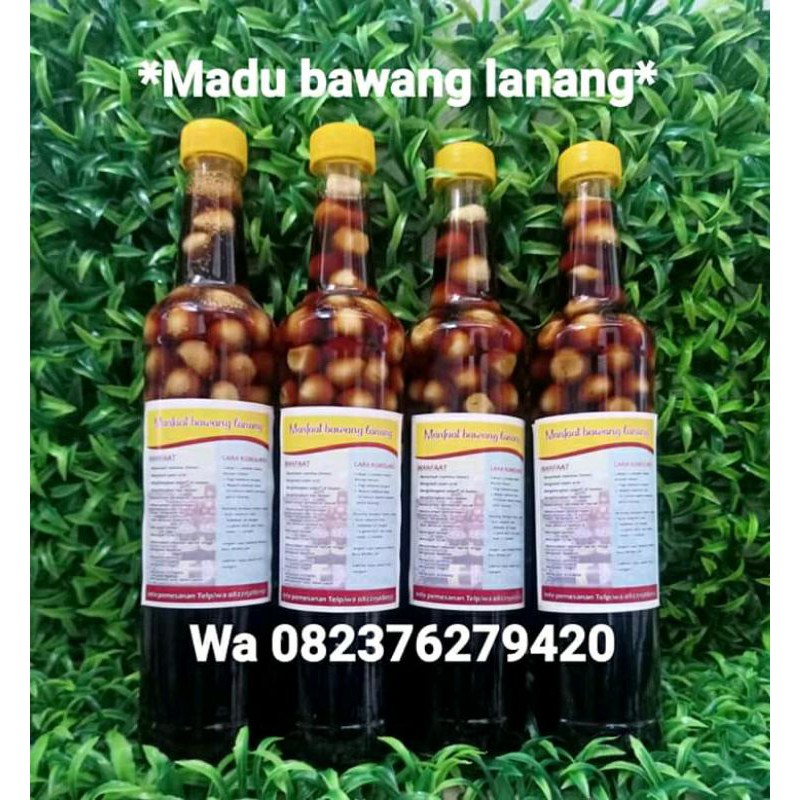 

madu bawang lanang tunggal