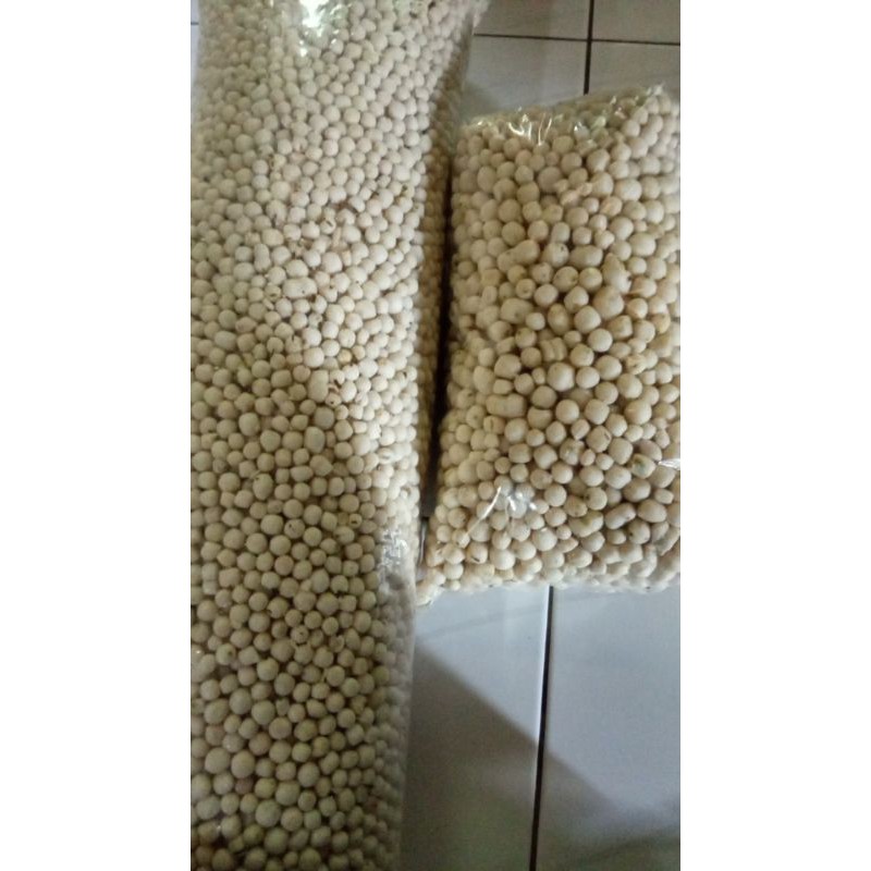 

Pilus Gurih Asli Tegal TERMURAH!