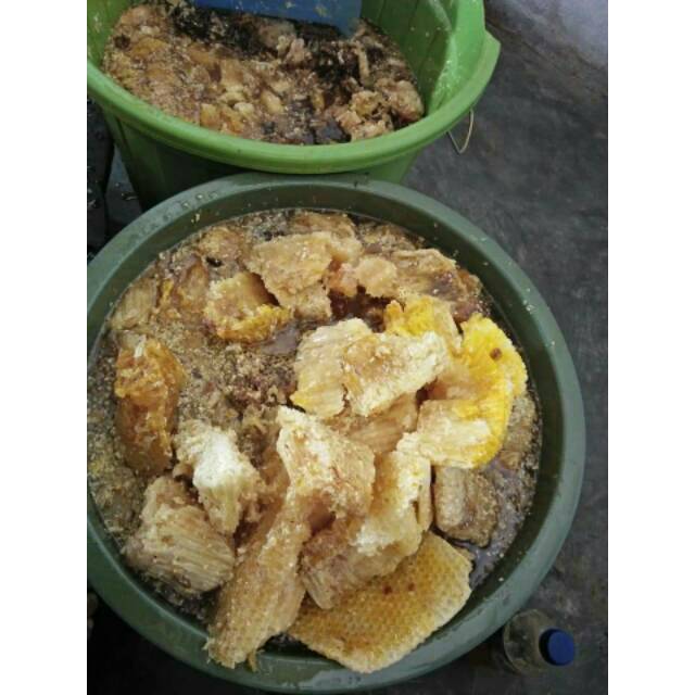 

Madu hutan liar asli tanpa campuran