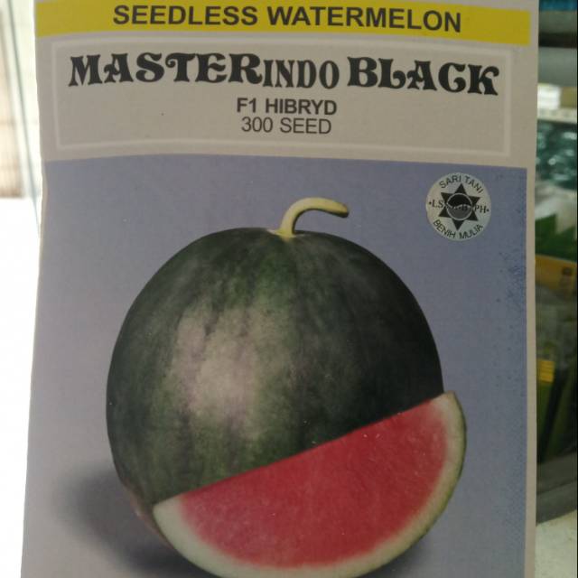

Semangka master black