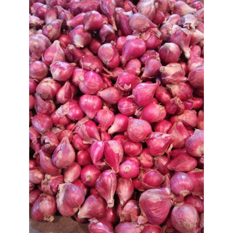 

bawang merah brebes