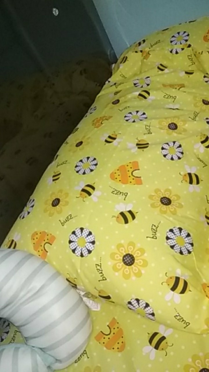 Inti Sprei Polyester Microtex - Lebih Tebal, Tidak Luntur, Halus, Bergaransi*!