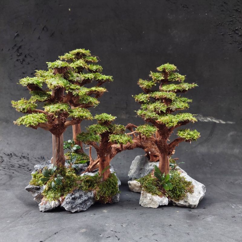 Hardscape Aquascape Tema Hutan Pinus