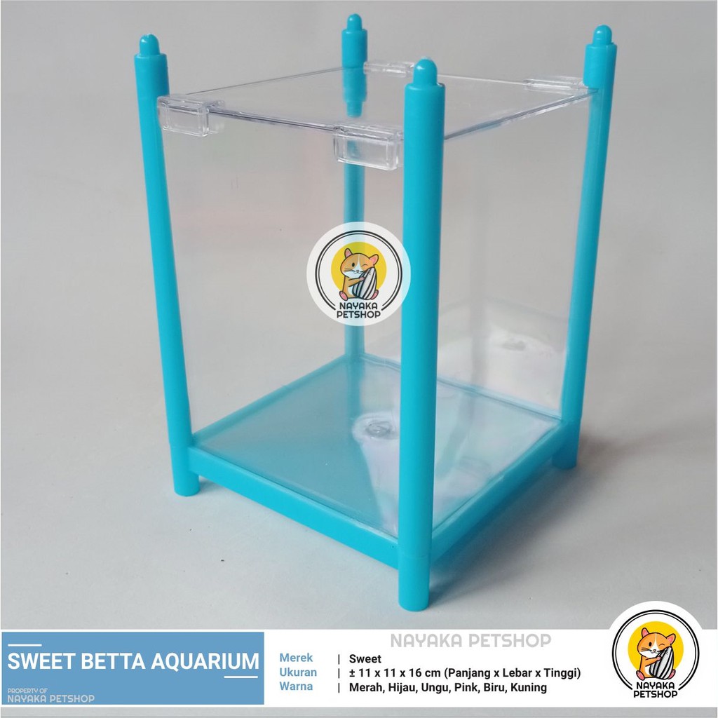 Sweet Betta Aquarium Cupang Kecil Mini Tank  Soliter Aquascape Ikan Hias