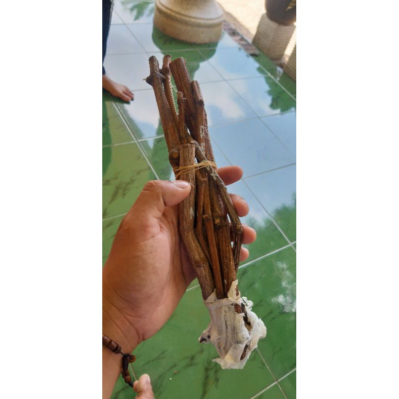 

anggut impor