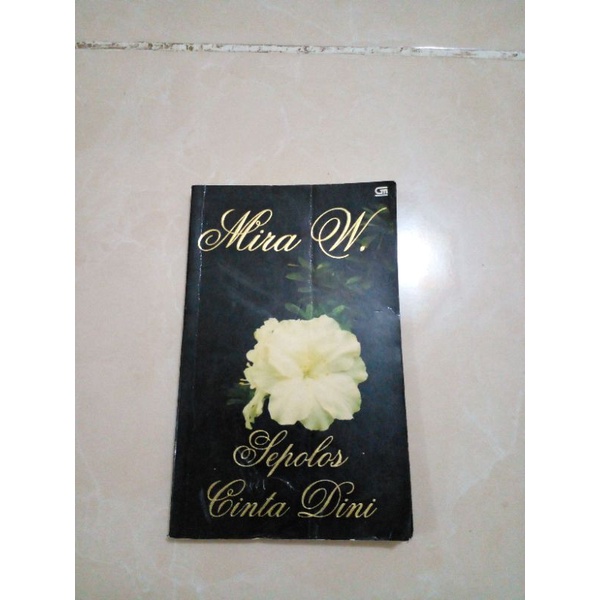 novel Mira W. Sepolos Cinta Dini  r
