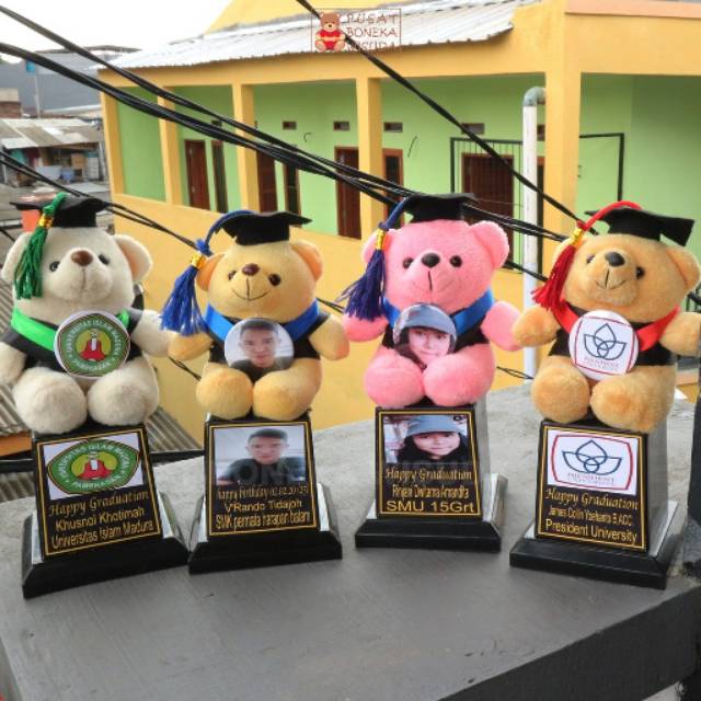 Piala Boneka Wisuda Murah Teddy Bear Kecil Mini Kado Hadiah graduation TK toga Nama Ultah Pilbon