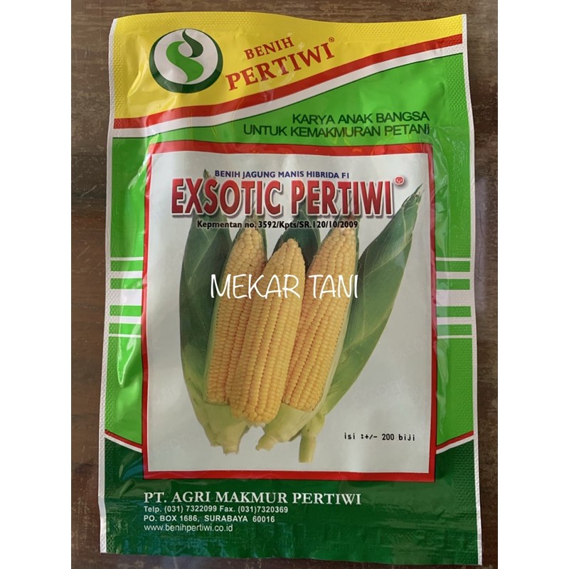 Benih Jagung Manis Exotic Pertiwi 200 butir