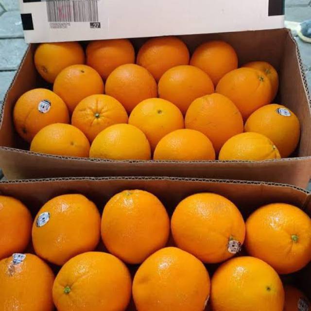 

Sunkist navel manis per 1kg