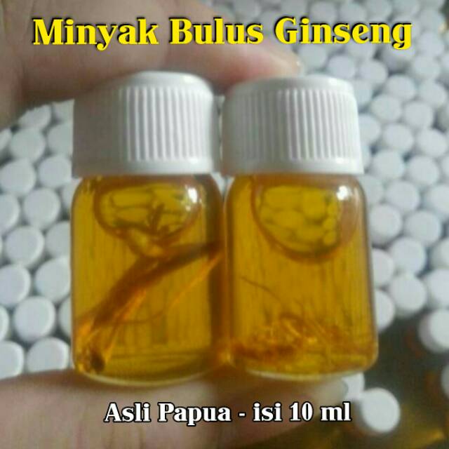 Minyak Bulus Ginseng Asli Papua Original 100 Bau Amis Pembesar Dan Pengencang Payudara Shopee Indonesia