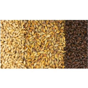 

Muntons Marris Otter 2.9-4.3 EBC 1000gr UK termurah