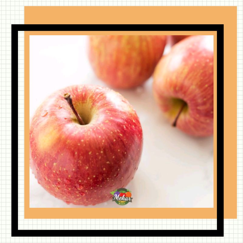 

Apel Fuji Fresh