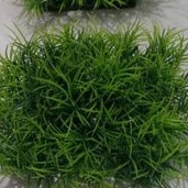 Tanaman Rumput Kotak Mini Plastik Hiasan Aquarium Aquascape