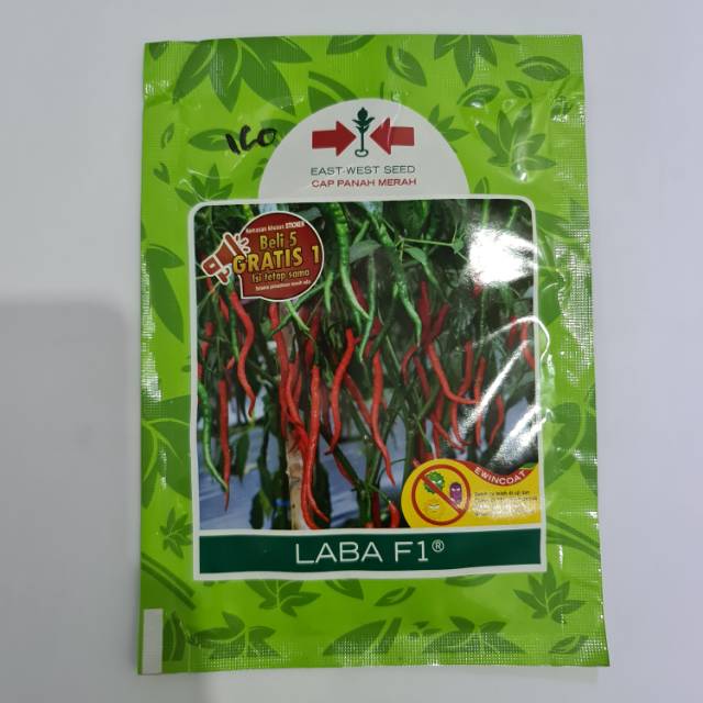 Bibit cabe(laba F1)
