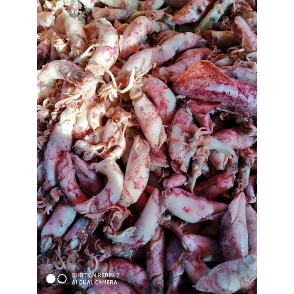 

Cumi Asin Sotong/Rebus termurahh!!!