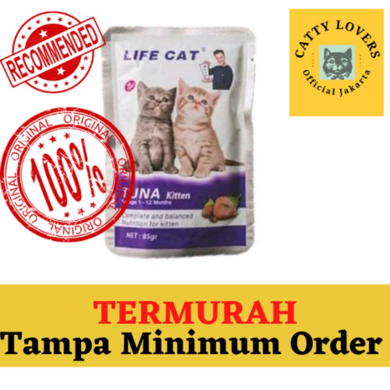 Kitten Tuna Life Cat
