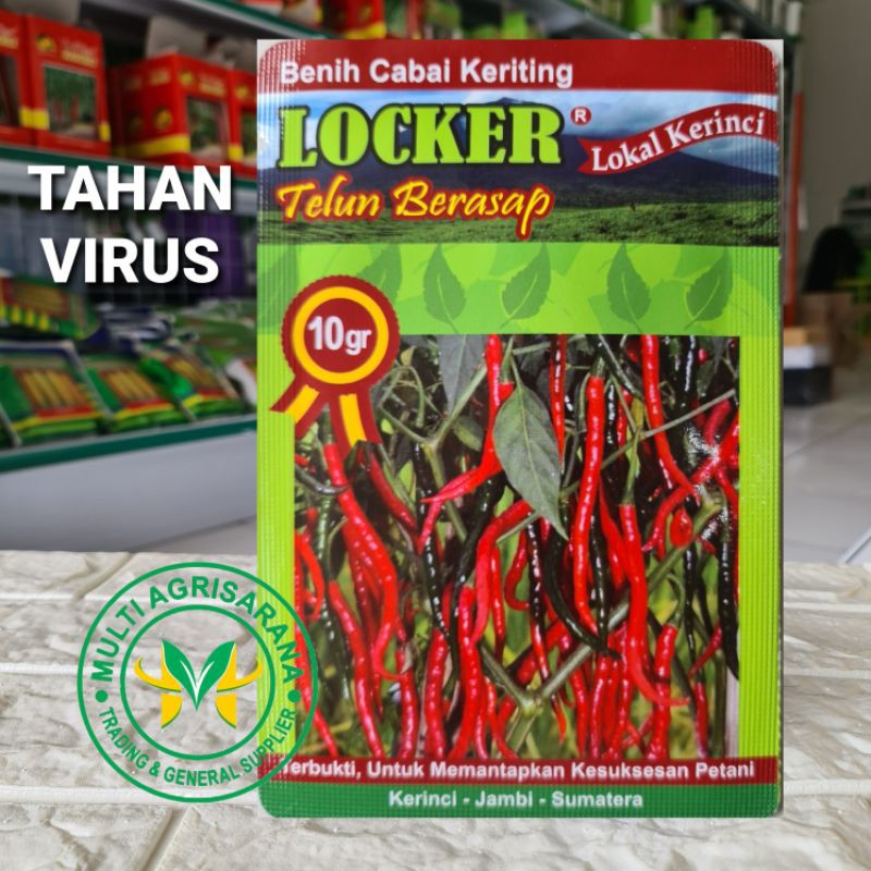 Isi 10gr. CMK LOCKER - Benih Bibit Cabe Merah Keriting LOCKER