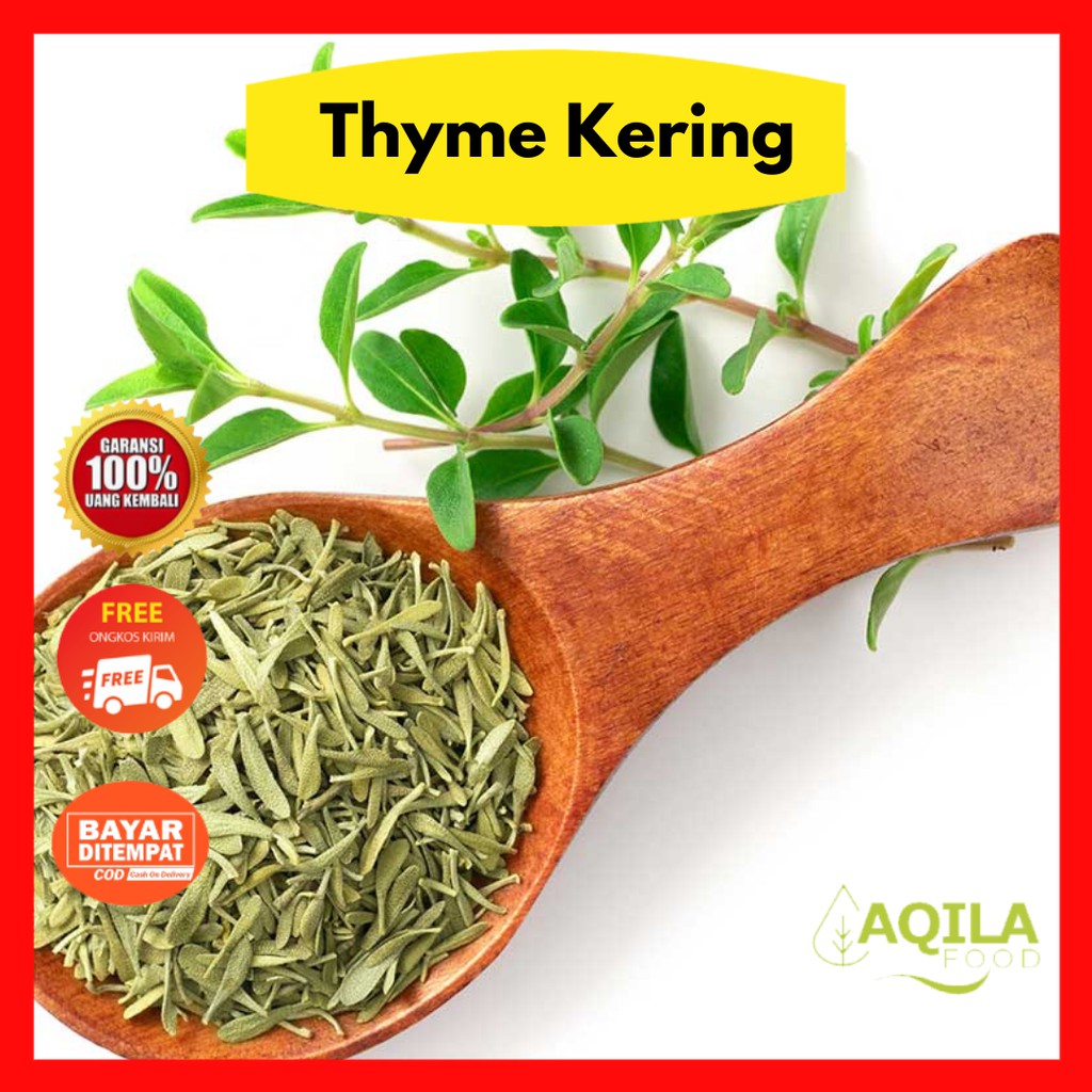 

Daun Thyme Kering