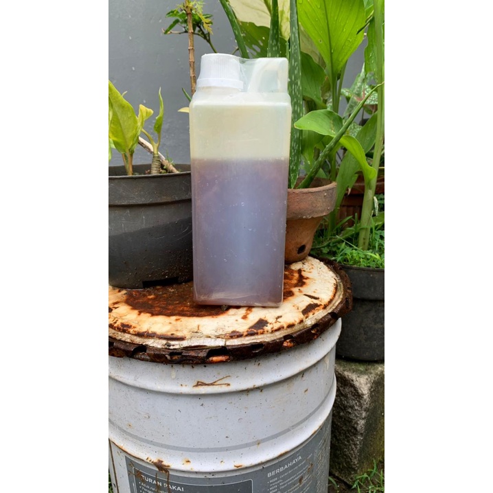 

Madu insulin isi bersih 1kg