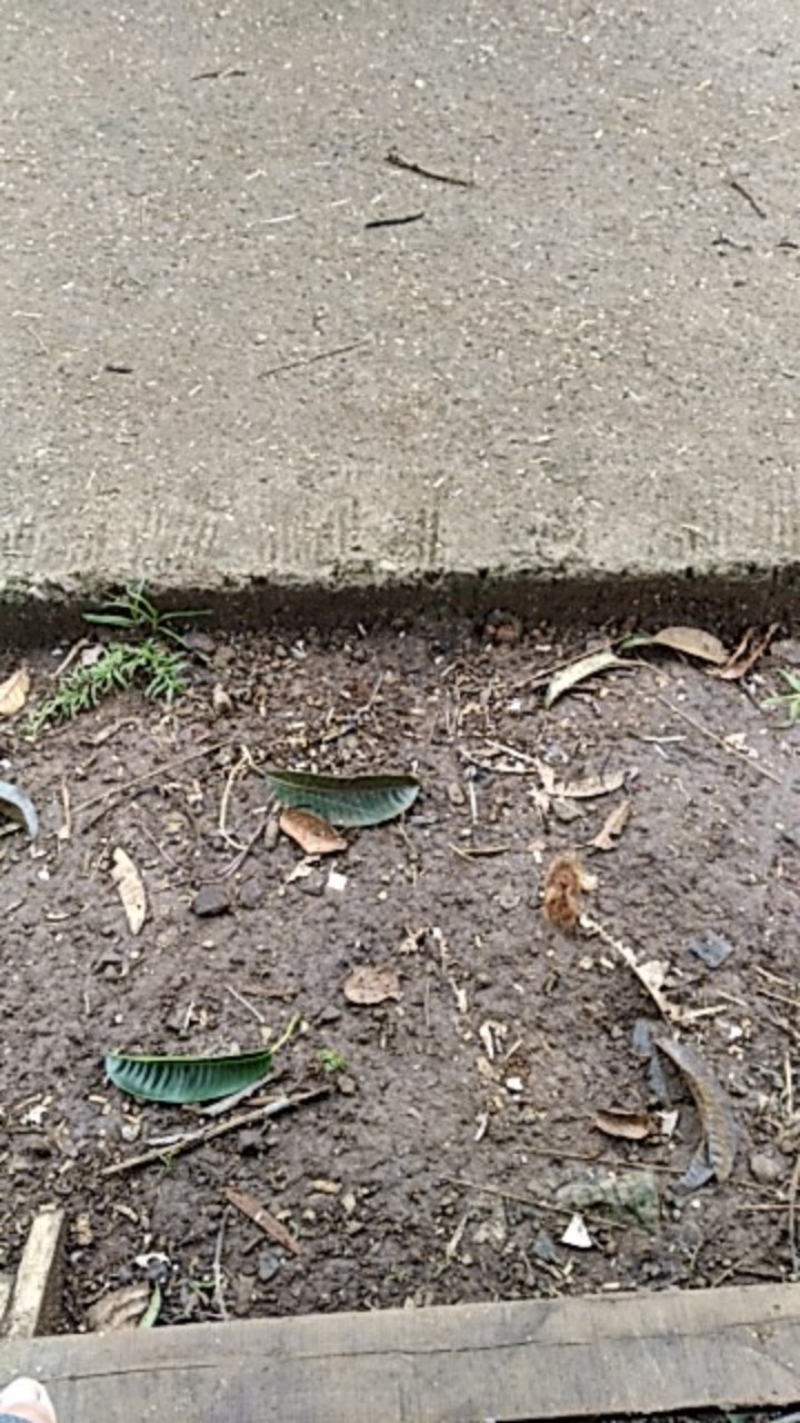 Kunci Laci Huben M2 Hm 181 - 19mm