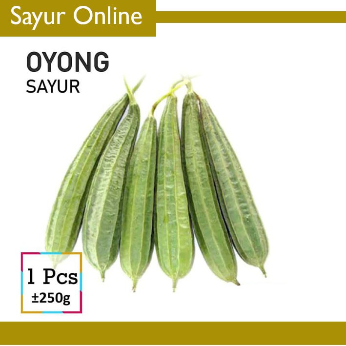 

[SayurOnline] OYONG SAYUR [1 Buah, ±250g]