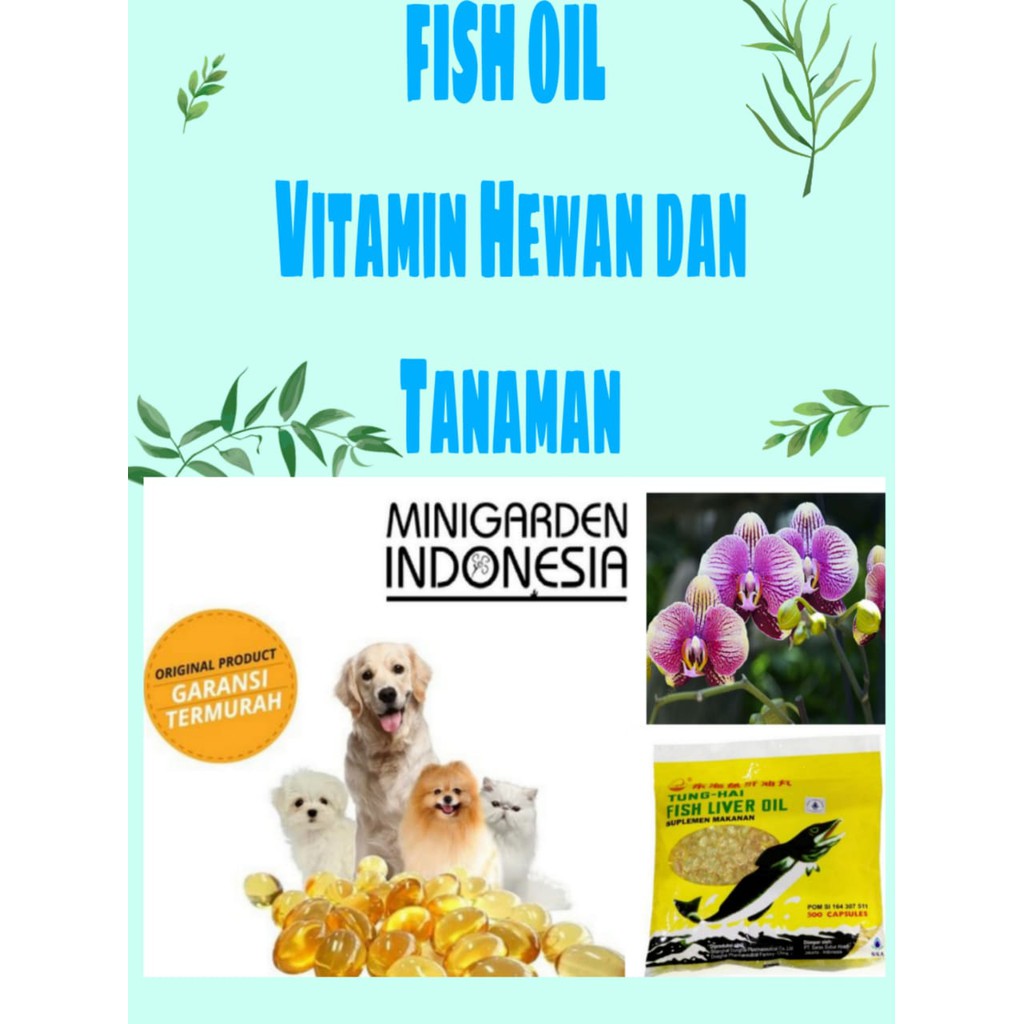 FISH OIL MINYAK IKAN ECERAN vitamin bulu hewa anjing kucing PUPUK FISH EMULSION HORMON ZPT tanaman