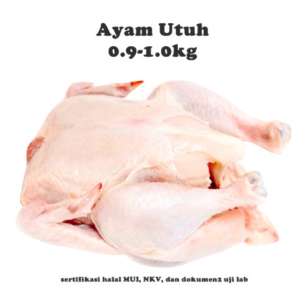

Ayam Utuh 1 Ekor 1 Kg Halal Murah