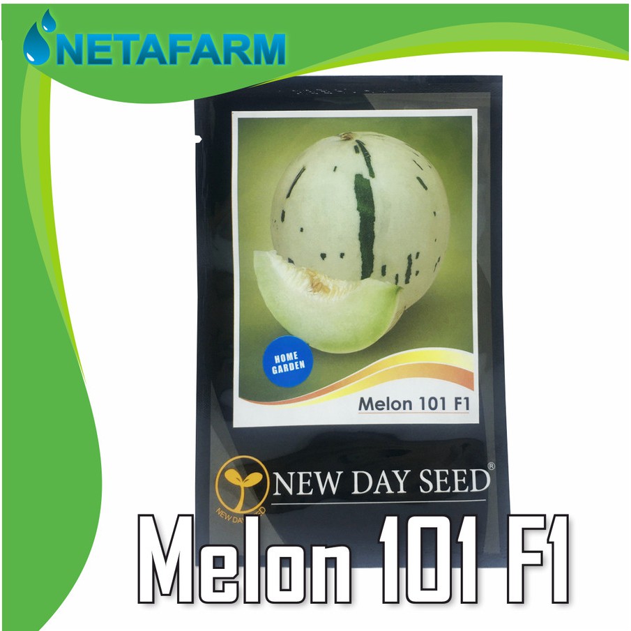 Biji / benih / bibit Melon 101 F1 - NDS ( 10 seed )