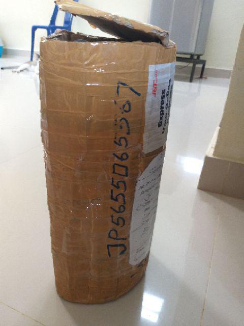 Paket 4 Batang Bibit Bunga Kamboja Jepang Adenium Triple Warna Terbaru 2019 Bonggol Besar