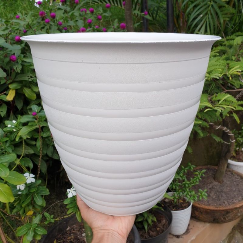 Pot Tirus 30 Diameter 30 cm Pot Pirus Tirus Jumbo 30 Putih Bahan Tebal Pot Tawon Pirus 30 Tinggi