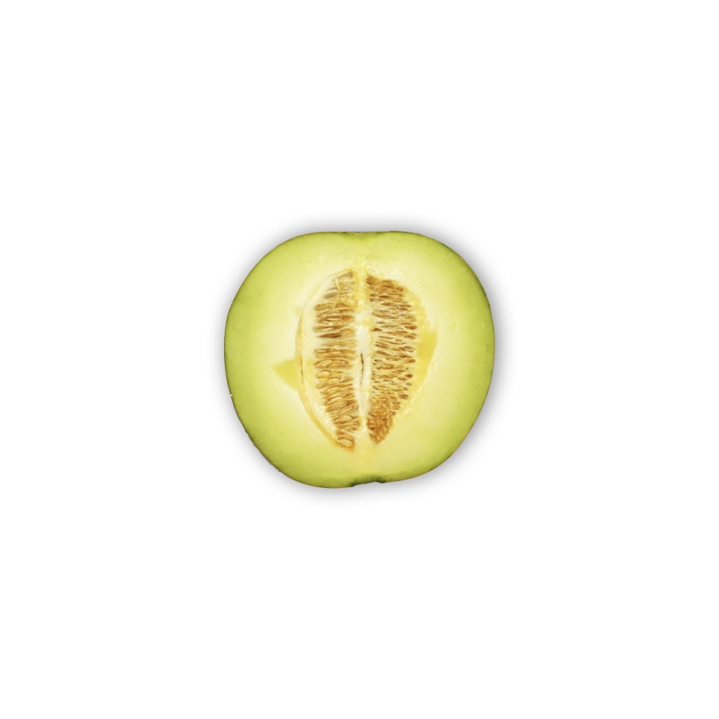 

MELON MADU PER BUAH