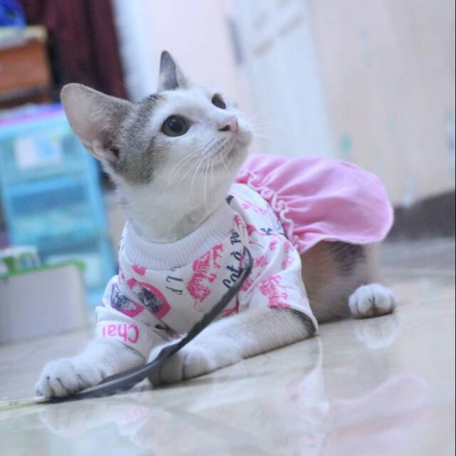 Dress bahan kaos kitty pink lucu untuk kucing dan anjing / baju kucing tangerang murah size S M L XL