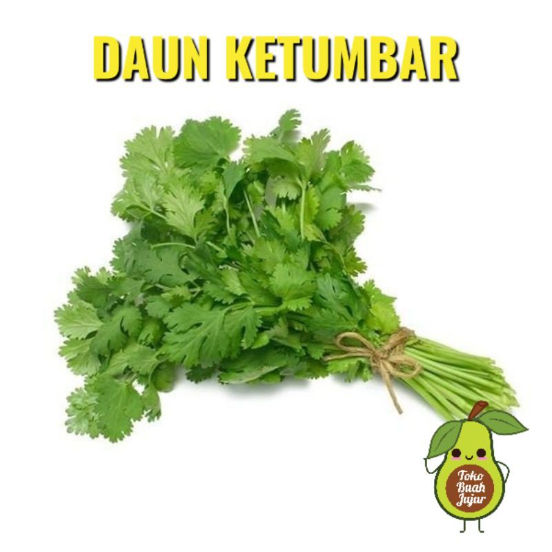 

DAUN KETUMBAR WANSUI CORIANDER