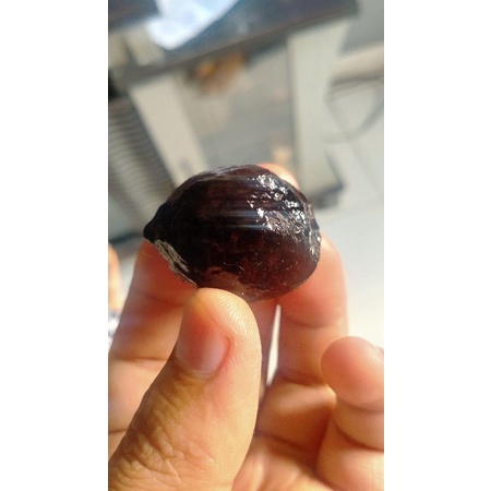 MUNCANG ADU KAWINAN JAYANTI DAN JAWA