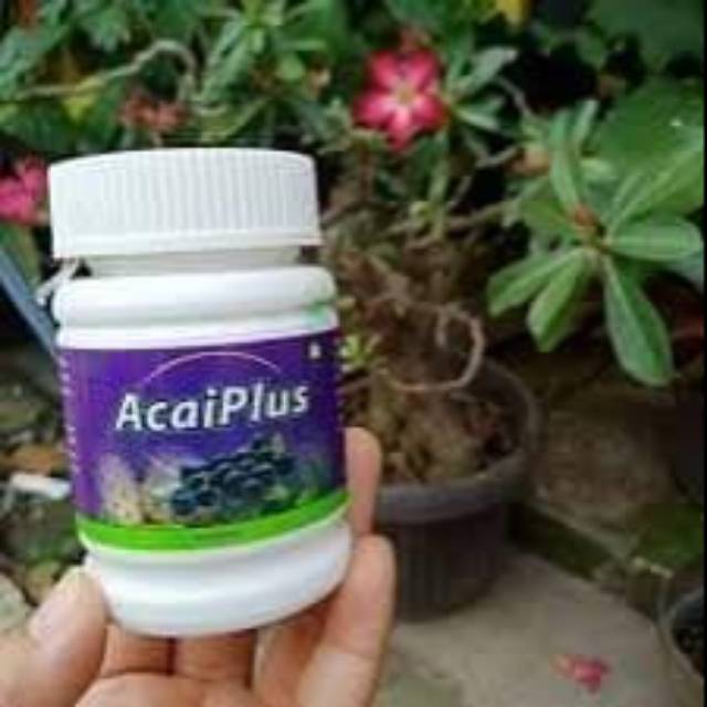 

Bosen gendut minum acaiplus ajah HK 200 sale 190