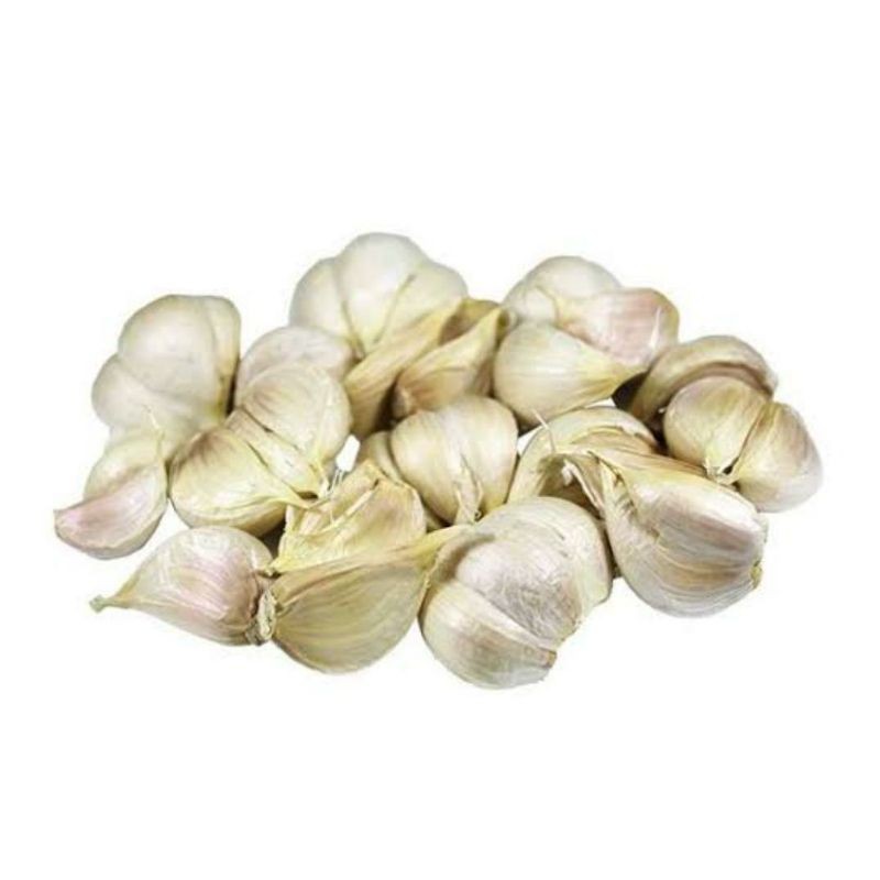 

Bawang Putih Kating murah meriah